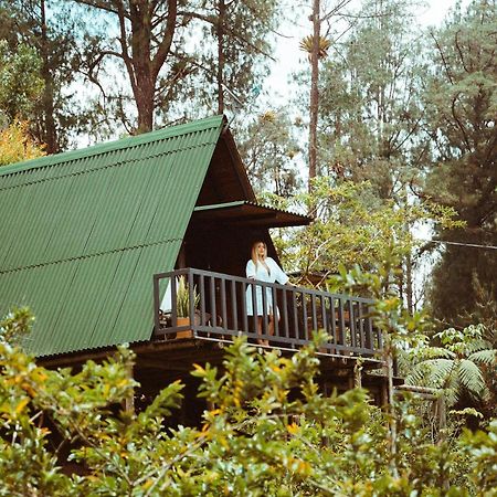 Hotel Cardinal Glamping Guatapé Exteriér fotografie